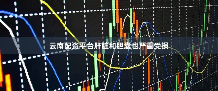 云南配资平台肝脏和胆囊也严重受损