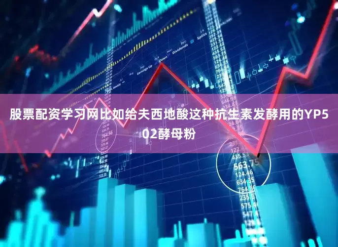 股票配资学习网比如给夫西地酸这种抗生素发酵用的YP502酵母粉