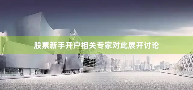 股票新手开户相关专家对此展开讨论