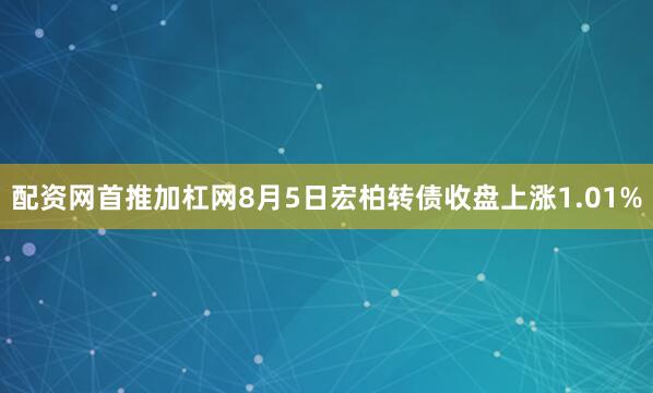 配资网首推加杠网8月5日宏柏转债收盘上涨1.01%