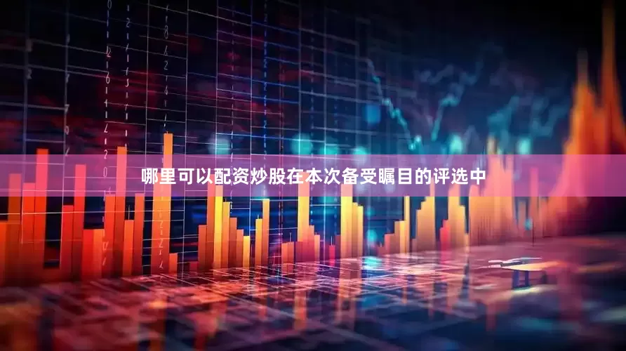 哪里可以配资炒股在本次备受瞩目的评选中
