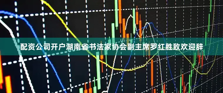 配资公司开户湖南省书法家协会副主席罗红胜致欢迎辞